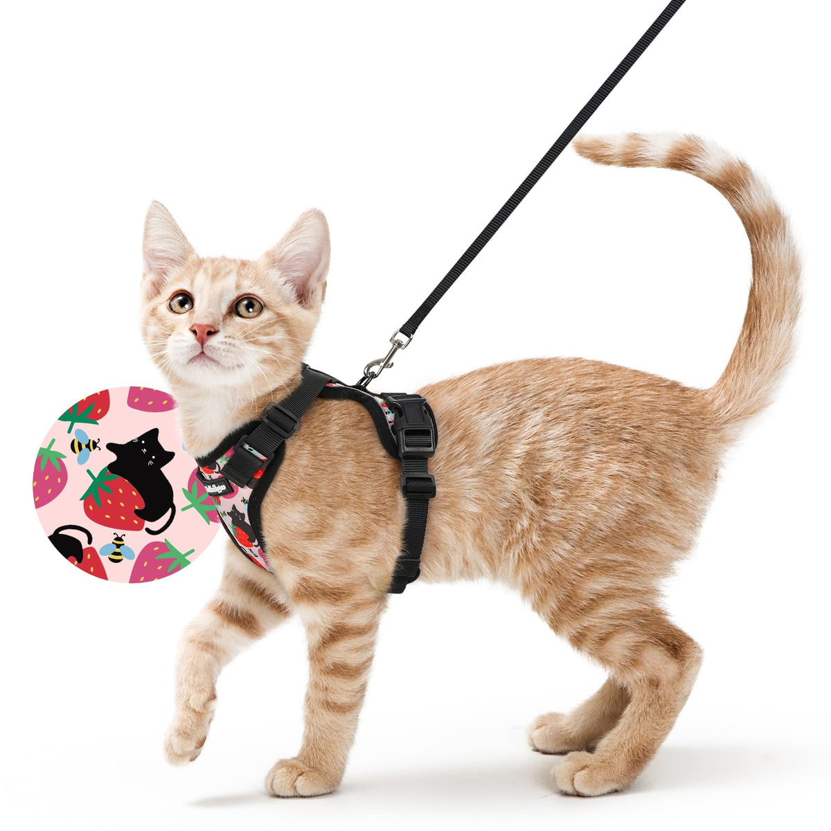 rabbitgoo Cat Harness and Leash Set, Escape Proof Vest, Black | Soft Breathable Mesh, Easy Adjustable Fit, Snap Buckles, Sturdy Clip, Reflective Strips, for Small & Average Cats Walks, Xs