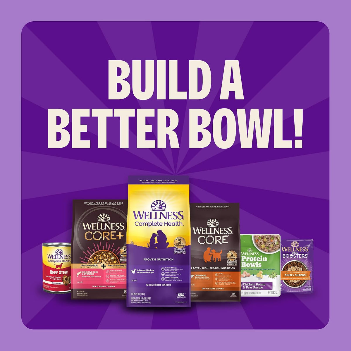 Wellness Complete Health Adult Dry Dog Food, Wholesome Grain Kibble, Natural, Chicken and Oatmeal Recipe, 30 lb Bag