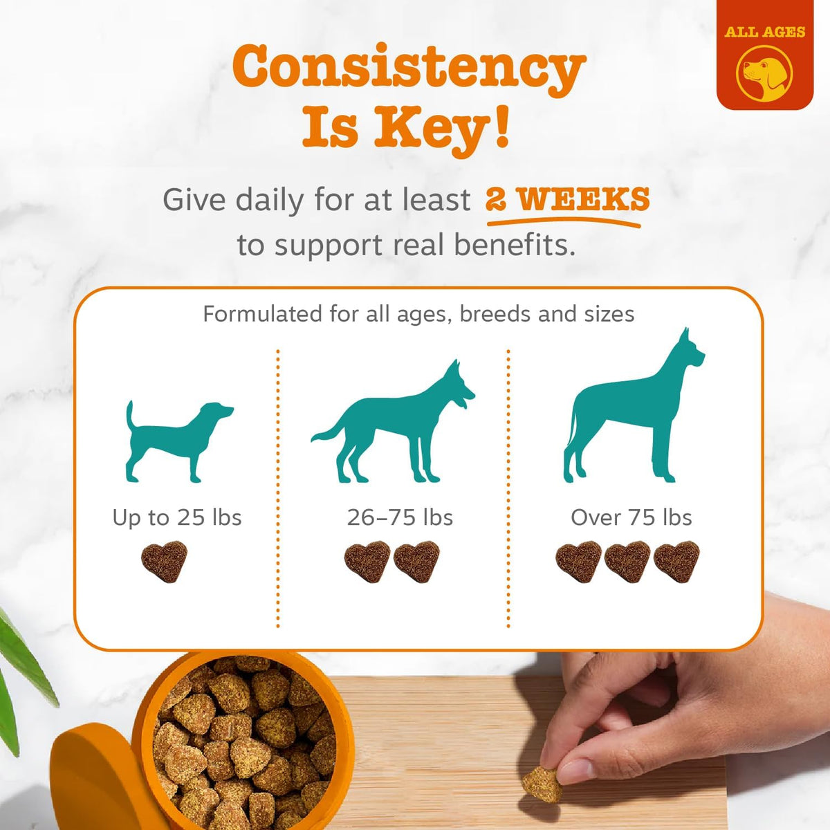 Zesty Paws Calming Chews for Dogs Composure & Relaxation for Everyday Stress & Separation Peanut Butter 90 Count