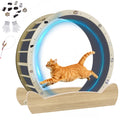 GTPLAYER Cat Wheels, 40" Diameter, Large Cat Exercise Wheel for Indoor Cats cat Treadmill Metal with Detachable Carpet & Teaser/Stickers, Ultra-Quiet Scroll Wheel with Latch, Safe and Stable Grey