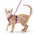 rabbitgoo Cat Harness and Leash Set, Escape Proof Vest, Black | Soft Breathable Mesh, Easy Adjustable Fit, Snap Buckles, Sturdy Clip, Reflective Strips, for Small & Average Cats Walks, Xs