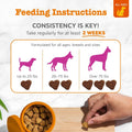 Zesty Paws Salmon Oil for Dogs Skin and Coat, Omega 3 Fish Oil Chews, Dog Allergy Relief Chews, Itch Relief Supplement, 250 Count, Salmon Flavor