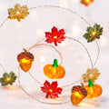 Pumpkin Lights String Battery Operated 10ft 30 LEDs Halloween Decorations