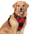 rabbitgoo Dog Harness No Pull with 2 Leash Clips, Adjustable Soft Padded, Reflective Oxford No Choke Pet Vest with Easy Control Handle for Medium Sized Dogs, Black, M