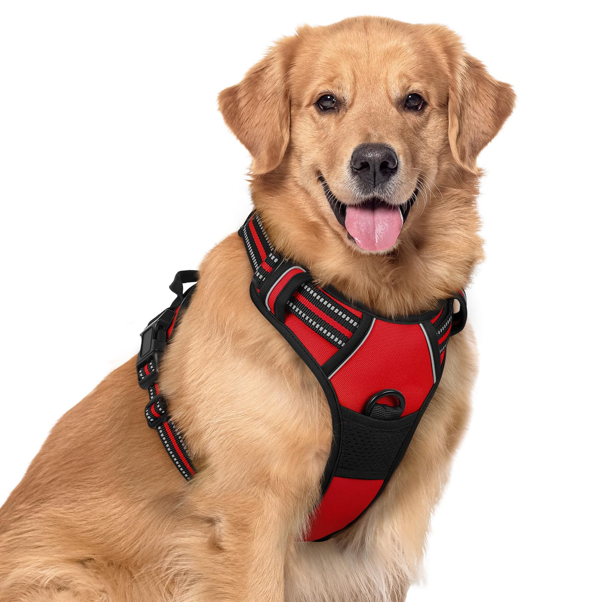 rabbitgoo Dog Harness No Pull with 2 Leash Clips, Adjustable Soft Padded, Reflective Oxford No Choke Pet Vest with Easy Control Handle for Medium Sized Dogs, Black, M