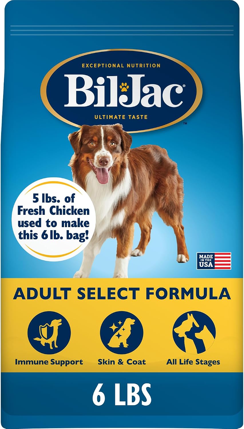 Bil-Jac Adult Select Dry Dog Food | Fresh Chicken Recipe | 6 lb Bag | Probiotics for Everyday Immune System Support, 5 lbs Fresh Chicken per Bag, Easy-to-Chew Slow-Cooked Bites