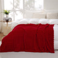 Puncuntex Burnt Orange Throw Blanket 50"×60" Fuzzy 3D Jacquard Decorative