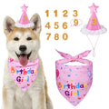 Dog Birthday Party Supplies, Dog Birthday Bandana Set, Dog Boy Girl Birthday Party Hat with Numbers for Large Medium Small Dogs Pet (Blue)