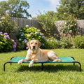 Amazon Basics Cooling Breathable Elevated Dog Bed with Durable Metal Frame for Large Dogs, X-Large, 60 x 37 x 9 Inch, Green, Easy to Clean