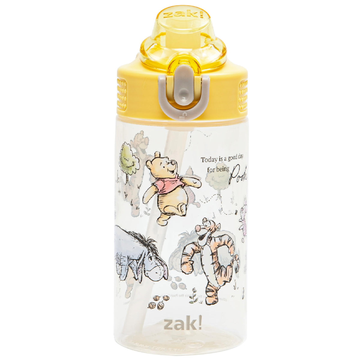 Zak Designs Sanrio Hello Kitty Sage 16oz Leak-Proof Straw Kids Water Bottle | BPA Free, Durable Plastic, Cupholder Friendly, Dishwasher Safe, Easy to Clean, Lid Lock, Handle, For School, Home, Travel
