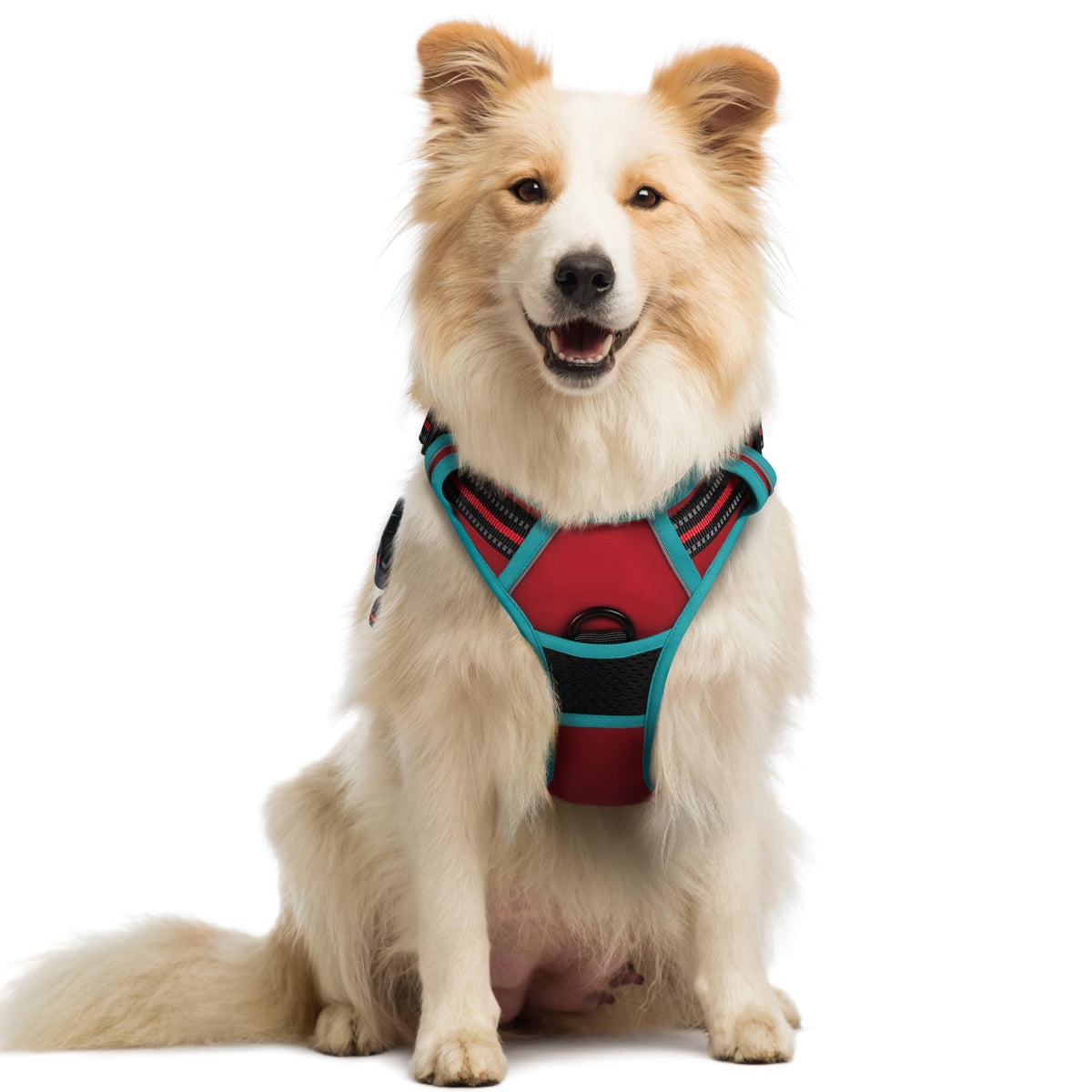 rabbitgoo Dog Harness No Pull with 2 Leash Clips, Adjustable Soft Padded, Reflective Oxford No Choke Pet Vest with Easy Control Handle for Large Dogs, Black, L