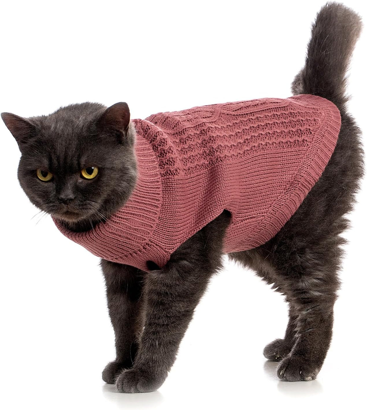 Cat Sweater Stretchy,19 Colors,6 Sizes,Snug Winter (Maple Leaf Red, Medium, Vest)