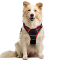 rabbitgoo Dog Harness No Pull with 2 Leash Clips, Adjustable Soft Padded, Reflective Oxford No Choke Pet Vest with Easy Control Handle for Medium Sized Dogs, Black, M