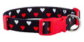 Native Pup Halloween Dog Collar- Spooky Fall Themed Horror Costume Collars- Skull, Pumpkin, Ghost, Bat, Witch, Candy Corn, Spider- Adjustable for Small, Medium, Large Breeds (Small, Big Pumpkins)