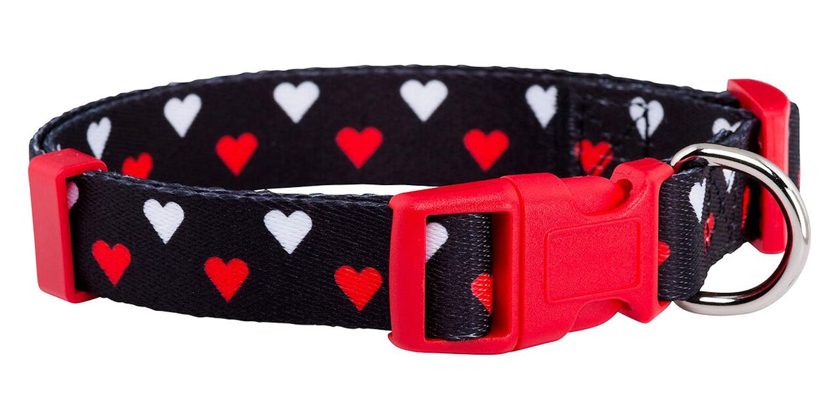 Native Pup Halloween Dog Collar- Spooky Fall Themed Horror Costume Collars- Skull, Pumpkin, Ghost, Bat, Witch, Candy Corn, Spider- Adjustable for Small, Medium, Large Breeds (Small, Big Pumpkins)