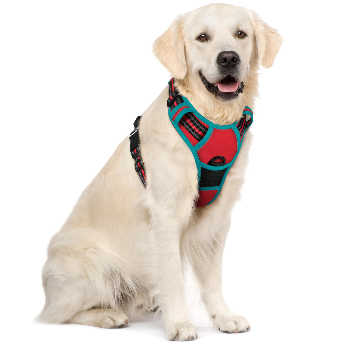 rabbitgoo Dog Harness No Pull with 2 Leash Clips, Adjustable Soft Padded, Reflective Oxford No Choke Pet Vest with Easy Control Handle for Medium Sized Dogs, Black, M