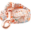 Lionheart glory Strong Dog Leash Fall Holiday Durable Dog Leashes with Comfortable Soft Handle for Small Medium and Large Girl or Boy Dogs