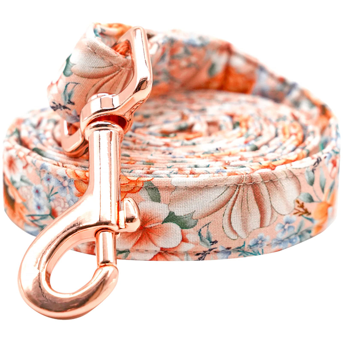 Lionheart glory Strong Dog Leash Fall Holiday Durable Dog Leashes with Comfortable Soft Handle for Small Medium and Large Girl or Boy Dogs