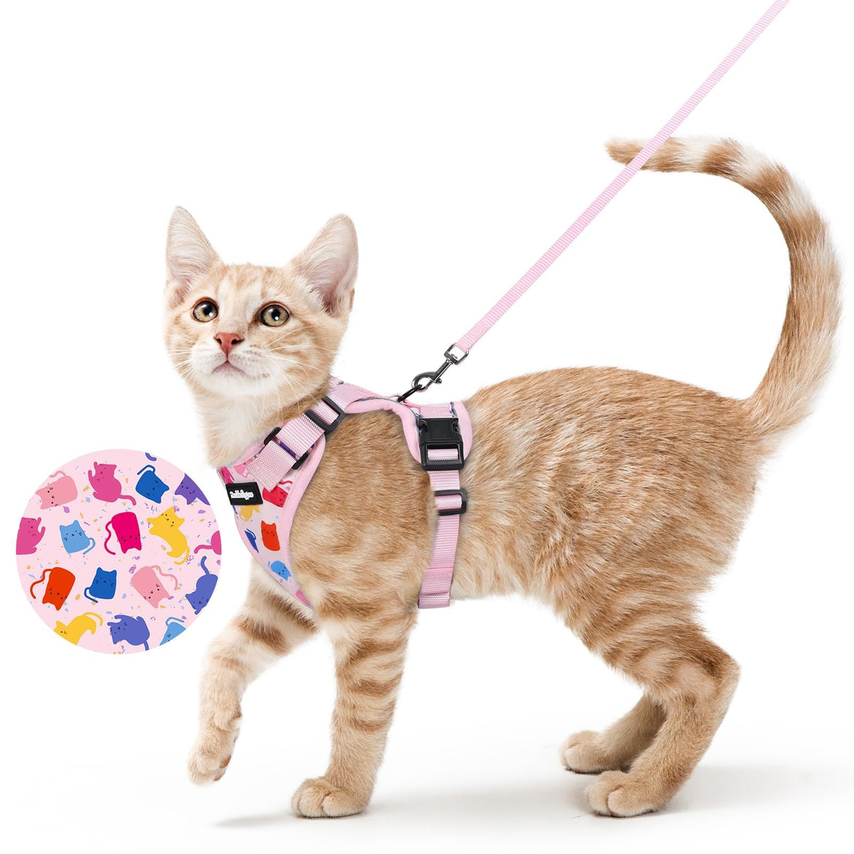 rabbitgoo Cat Harness and Leash Set, Escape Proof Vest, Black | Soft Breathable Mesh, Easy Adjustable Fit, Snap Buckles, Sturdy Clip, Reflective Strips, for Small & Average Cats Walks, Xs