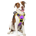 rabbitgoo Dog Harness No Pull with 2 Leash Clips, Adjustable Soft Padded, Reflective Oxford No Choke Pet Vest with Easy Control Handle for Medium Sized Dogs, Black, M
