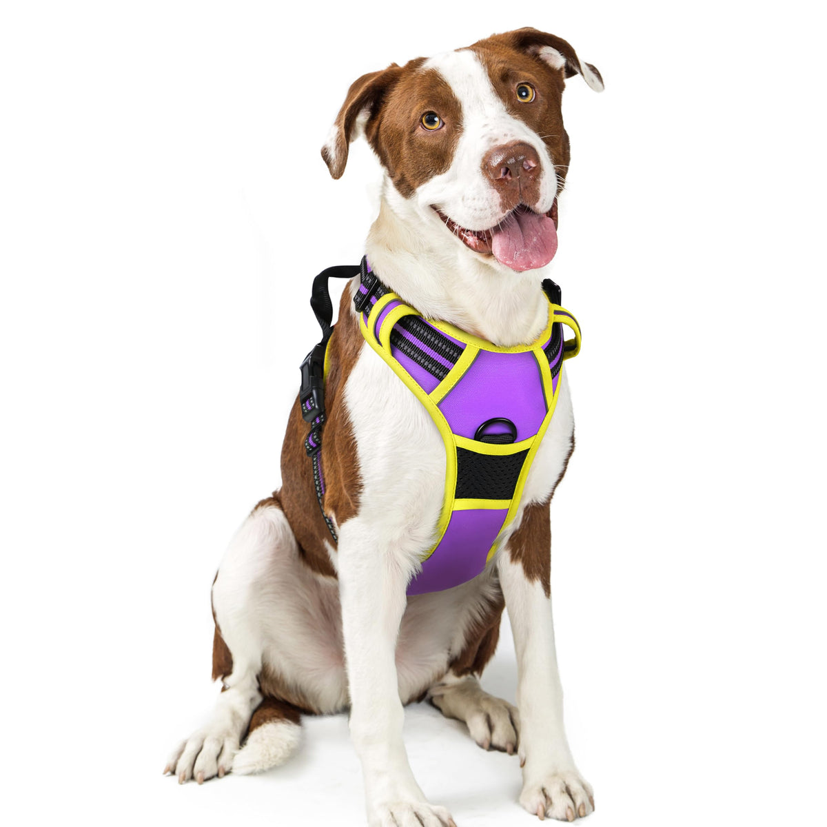 rabbitgoo Dog Harness No Pull with 2 Leash Clips, Adjustable Soft Padded, Reflective Oxford No Choke Pet Vest with Easy Control Handle for Medium Sized Dogs, Black, M