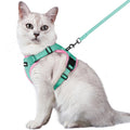 rabbitgoo Cat Harness and Leash Set, Escape Proof Vest, Black | Soft Breathable Mesh, Easy Adjustable Fit, Snap Buckles, Sturdy Clip, Reflective Strips, for Medium to Large Cats Walks, M