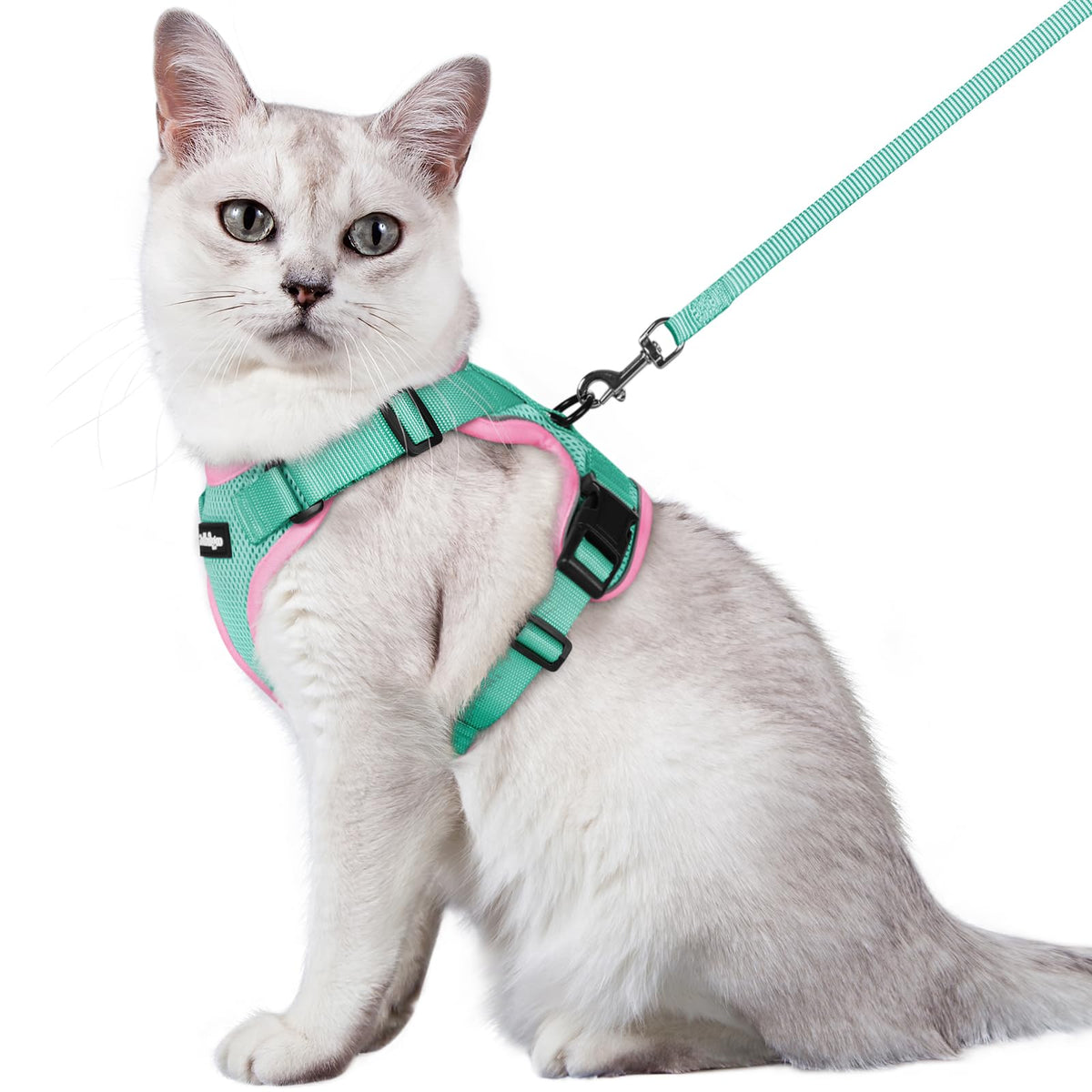 rabbitgoo Cat Harness and Leash Set, Escape Proof Vest, Black | Soft Breathable Mesh, Easy Adjustable Fit, Snap Buckles, Sturdy Clip, Reflective Strips, for Medium to Large Cats Walks, M