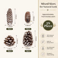 28 PCS Natural Pine Cones with Strings