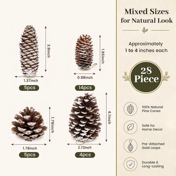 28 PCS Natural Pine Cones with Strings