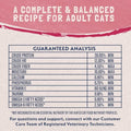 Natural Balance Limited Ingredient Adult Grain-Free Dry Cat Food - Balanced Nutrition - Soy-Free, Corn-Free Limited Ingredient Formula - 10 lb - Salmon & Green Pea Recipe