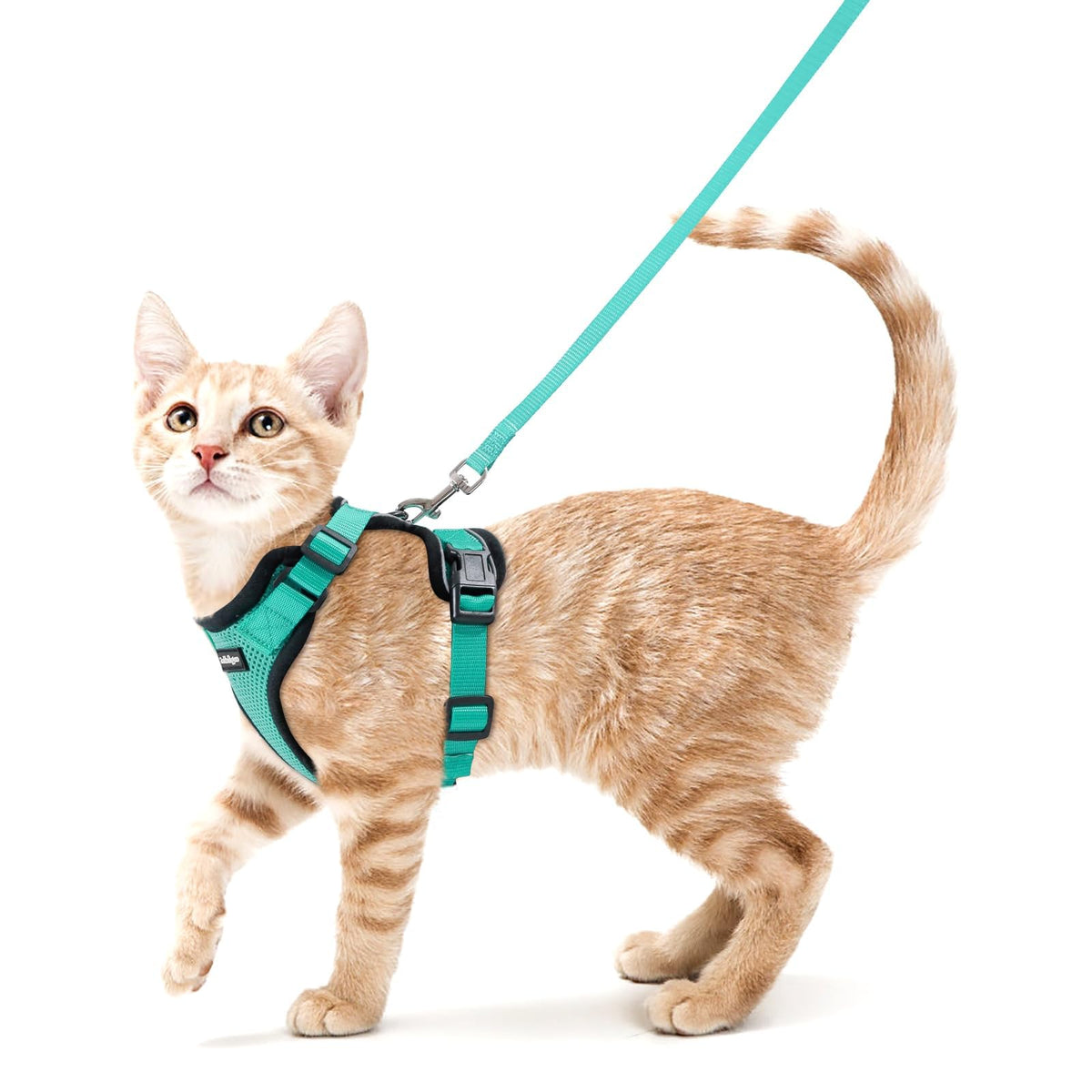 rabbitgoo Cat Harness and Leash Set, Escape Proof Vest, Black | Soft Breathable Mesh, Easy Adjustable Fit, Snap Buckles, Sturdy Clip, Reflective Strips, for Small & Average Cats Walks, Xs