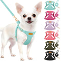 SlowTon No Pull Dog Harness with Leash for Small Medium Dogs, Flower XXS