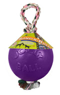 Jolly Pets Romp-n-Roll Rope and Ball Dog Toy, 6 Inches/Medium, Blueberry, Model Number: 606 BB, All Breed Sizes