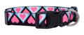 Native Pup Halloween Dog Collar- Spooky Fall Themed Horror Costume Collars- Skull, Pumpkin, Ghost, Bat, Witch, Candy Corn, Spider- Adjustable for Small, Medium, Large Breeds (Small, Big Pumpkins)