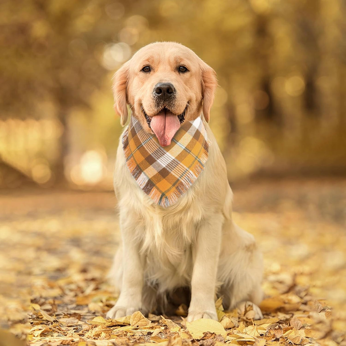 Fall Dog Bandana 1PCS Large, Autumn Thanksgiving Orange Plaid Scarf