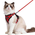 rabbitgoo Cat Harness and Leash Set, Escape Proof Vest, Black | Soft Breathable Mesh, Easy Adjustable Fit, Snap Buckles, Sturdy Clip, Reflective Strips, for Small & Average Cats Walks, Xs