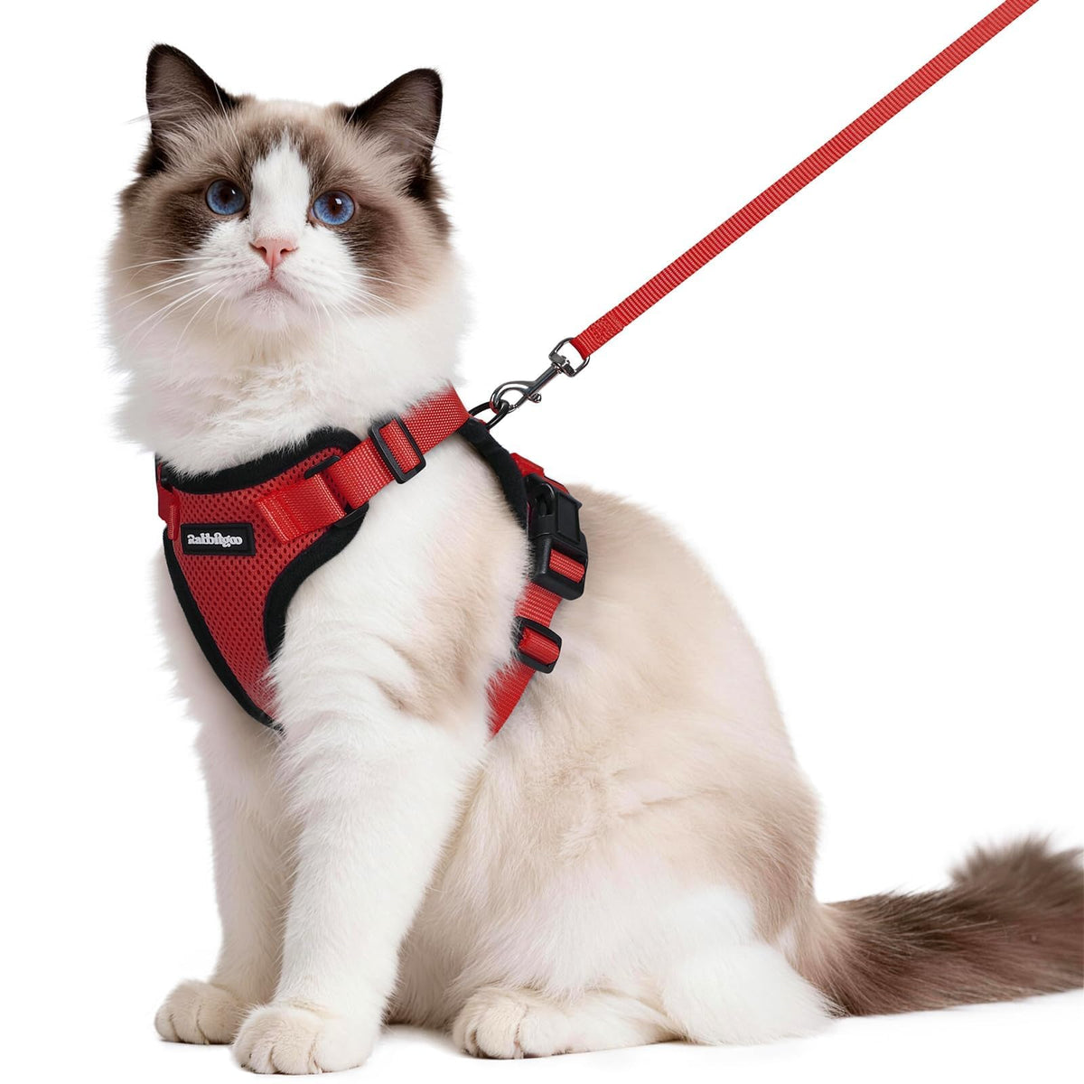 rabbitgoo Cat Harness and Leash Set, Escape Proof Vest, Black | Soft Breathable Mesh, Easy Adjustable Fit, Snap Buckles, Sturdy Clip, Reflective Strips, for Small & Average Cats Walks, Xs
