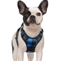 rabbitgoo Dog Harness No Pull with 2 Leash Clips, Adjustable Soft Padded, Reflective Oxford No Choke Pet Vest with Easy Control Handle for Medium Sized Dogs, Black, M