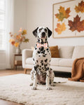 PET SHOW 10 Pack Fall Dog Bowties for Large Dogs Sliding on Collar