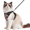 rabbitgoo Cat Harness and Leash Set, Escape Proof Vest, Black | Soft Breathable Mesh, Easy Adjustable Fit, Snap Buckles, Sturdy Clip, Reflective Strips, for Small & Average Cats Walks, Xs