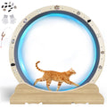 GTPLAYER Cat Wheels, 40" Diameter, Large Cat Exercise Wheel for Indoor Cats cat Treadmill Metal with Detachable Carpet & Teaser/Stickers, Ultra-Quiet Scroll Wheel with Latch, Safe and Stable Grey