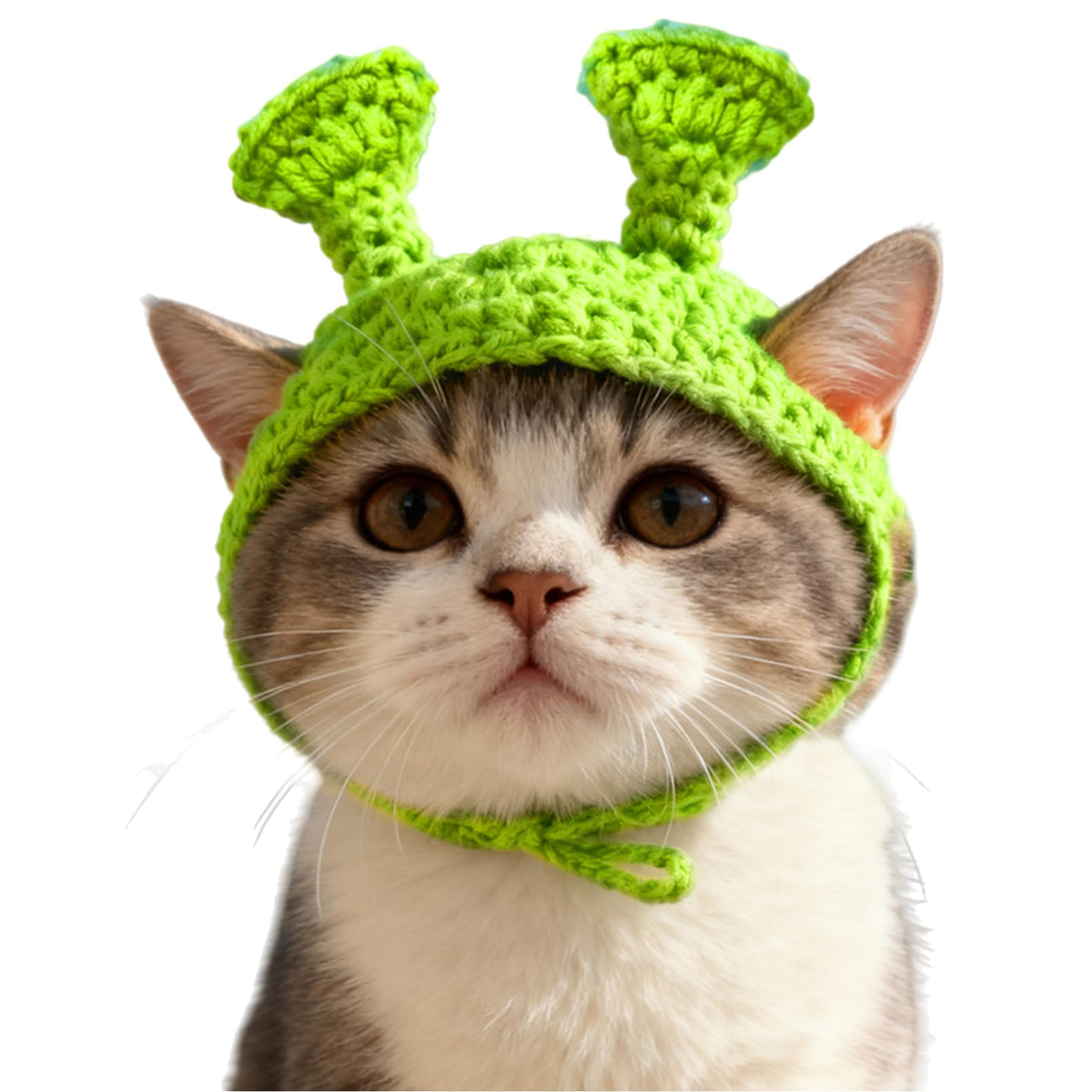 Cute Cat Hats Costume Suitable for 5 to16 lbs - Rabbit Kitten Hat Head Circumference 11" or Less Cat Hats for Cats only Pet Photography Outfits