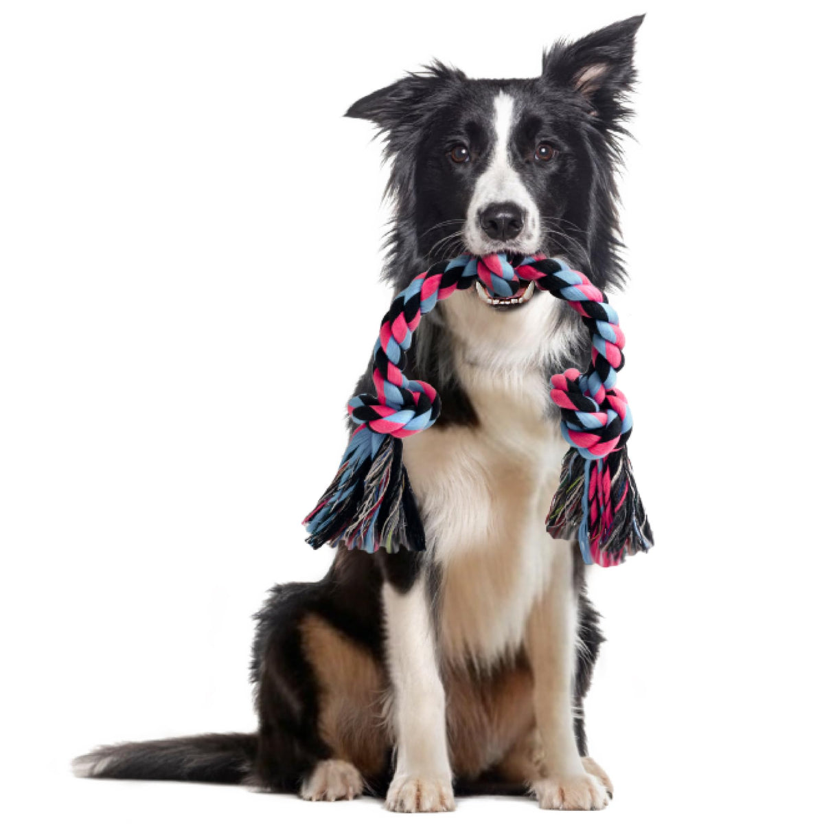 SHARLOVY Large Tough Chew Toys for Aggressive Chewers Large Breed,Heavy Duty Dental Rope Toys Kit for Medium Dogs,5 Knots Indestructible Cotton Puppy Teething Chew Tug Toy Set of 9