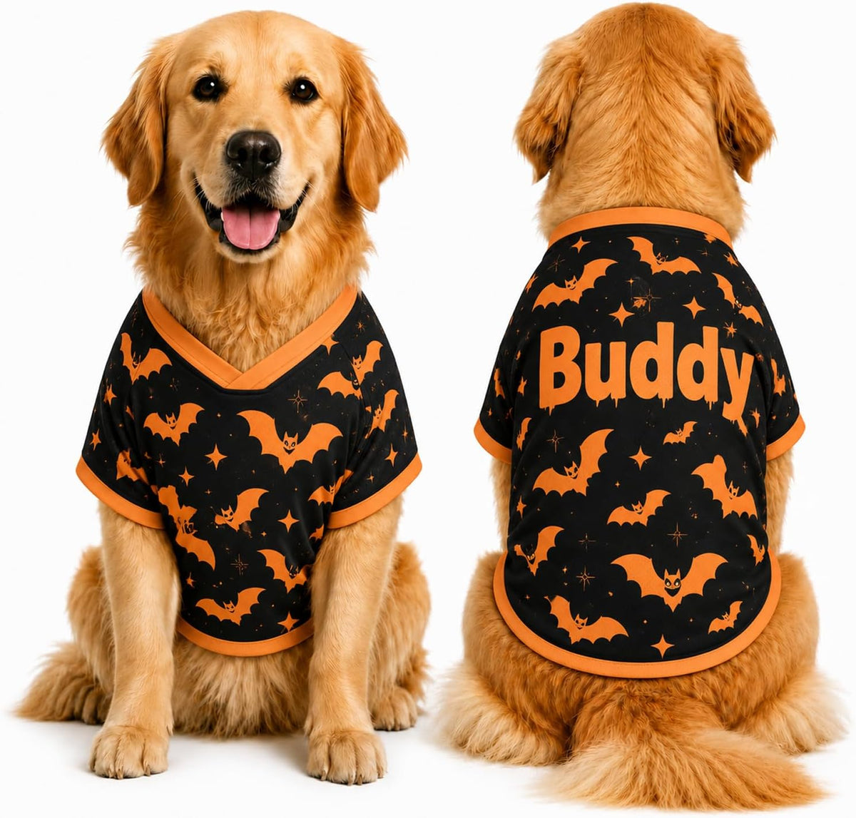 Personalized Halloween Dog Shirt, Custom Pet Shirt with Name, Pumpkin Bat Spider Web Dog Costume