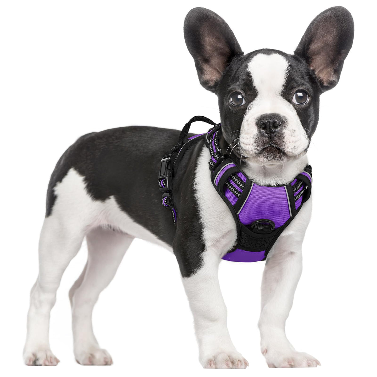rabbitgoo Dog Harness No Pull with 2 Leash Clips, Adjustable Soft Padded, Reflective Oxford No Choke Pet Vest with Easy Control Handle for Medium Sized Dogs, Black, M