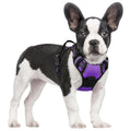 rabbitgoo Dog Harness No Pull with 2 Leash Clips, Adjustable Soft Padded, Reflective Oxford No Choke Pet Vest with Easy Control Handle for Large Dogs, Black, L