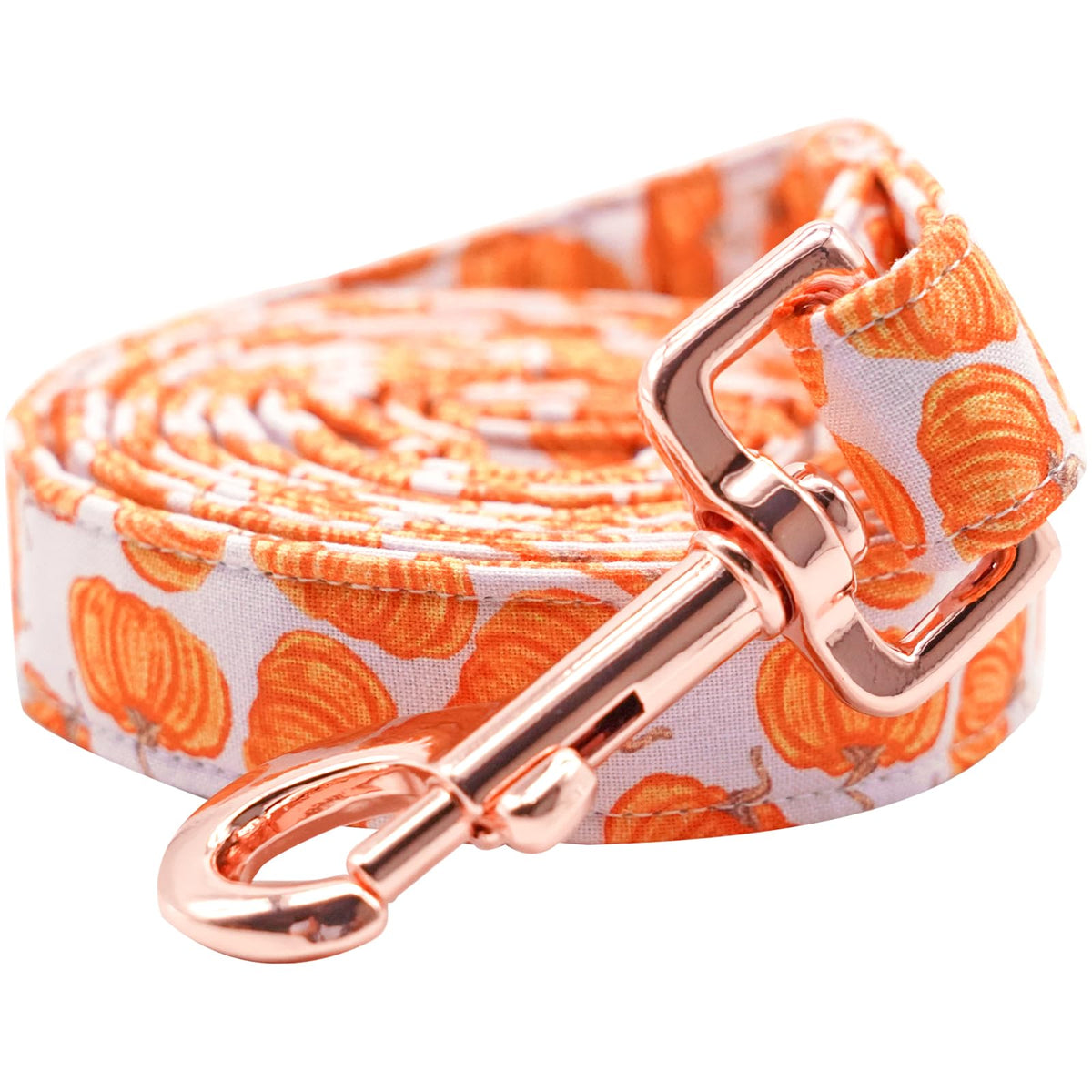 Lionheart glory Strong Dog Leash Fall Holiday Durable Dog Leashes with Comfortable Soft Handle for Small Medium and Large Girl or Boy Dogs