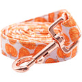Lionheart glory Strong Dog Leash Fall Holiday Durable Dog Leashes with Comfortable Soft Handle for Small Medium and Large Girl or Boy Dogs