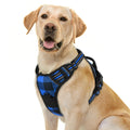 rabbitgoo Dog Harness No Pull with 2 Leash Clips, Adjustable Soft Padded, Reflective Oxford No Choke Pet Vest with Easy Control Handle for Large Dogs, Black, L