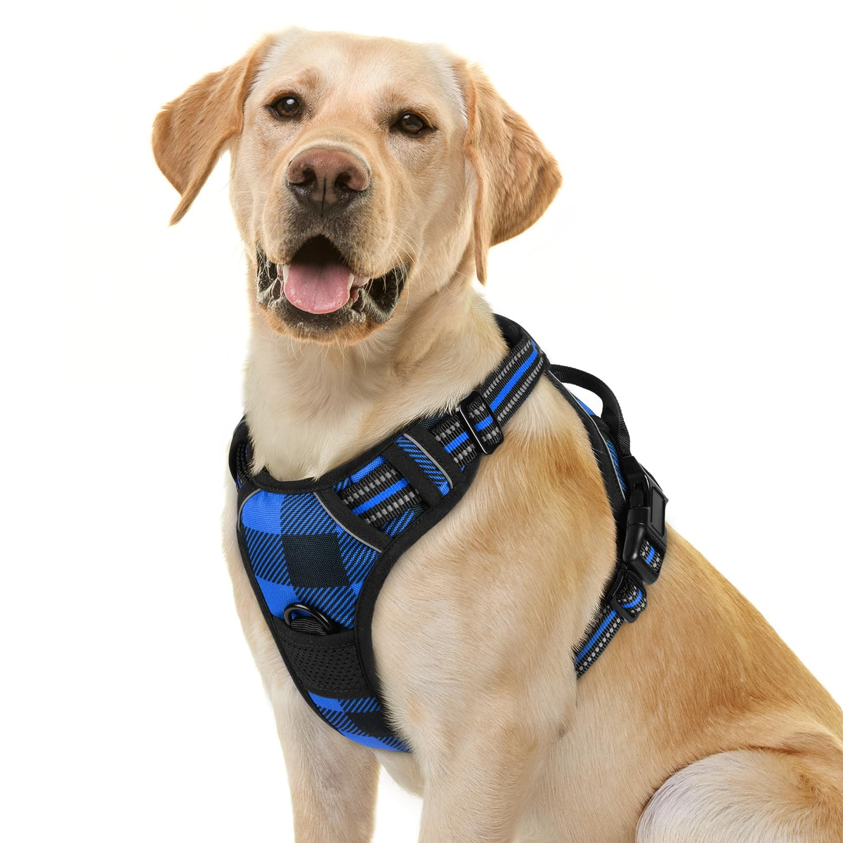 rabbitgoo Dog Harness No Pull with 2 Leash Clips, Adjustable Soft Padded, Reflective Oxford No Choke Pet Vest with Easy Control Handle for Large Dogs, Black, L
